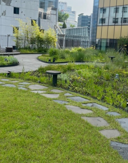 도시 옥상의 또 다른 세상: 방치된 옥상 정원들