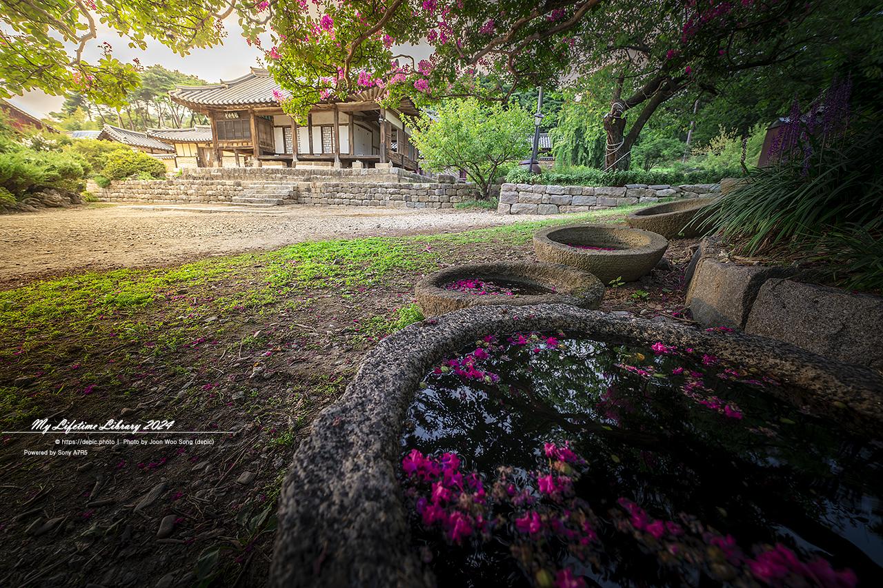 논산 고택 명재고택 배롱꽃