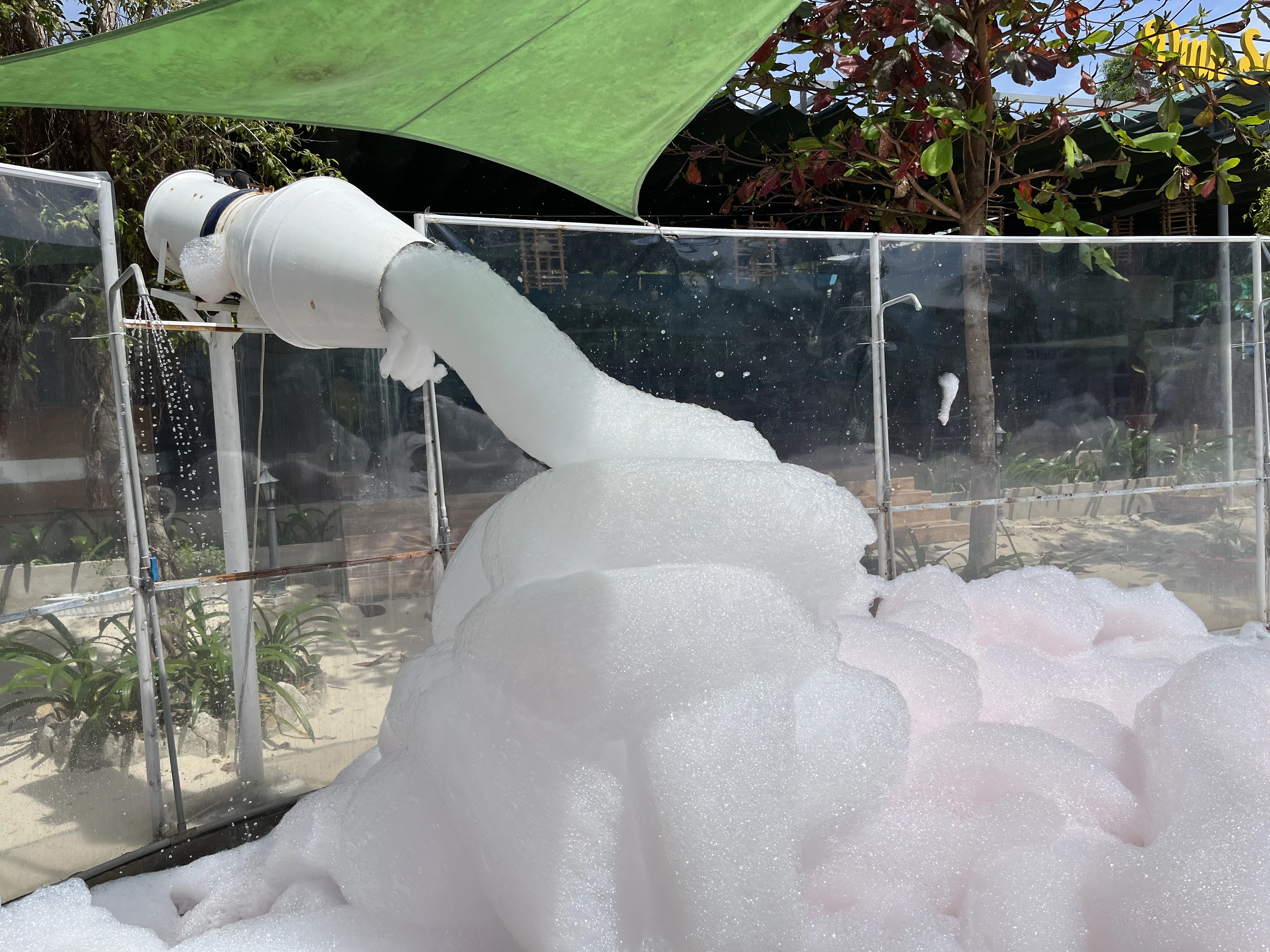 오션월드 호핑투어 버블파티