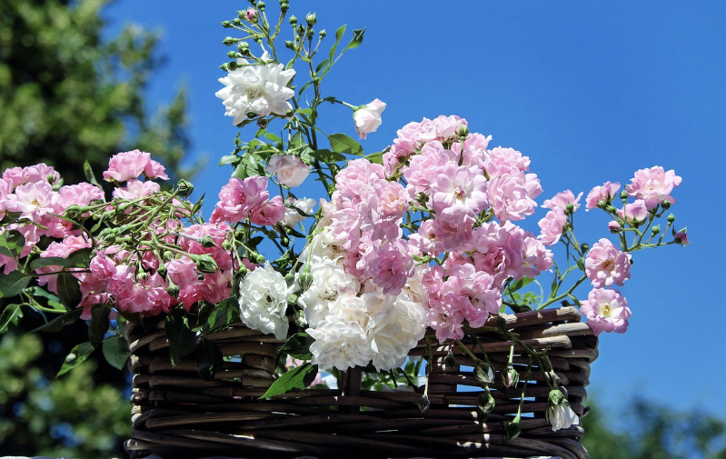 정원 구조물 관련사진