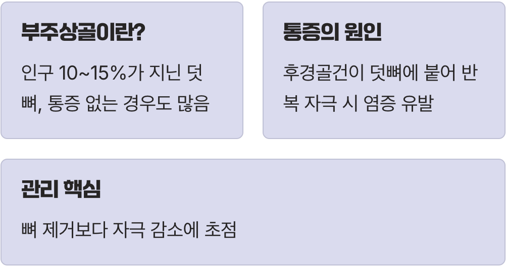 내가 타고난 &lsquo;보너스 뼈&rsquo;의 정체