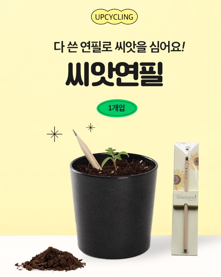 씨앗연필 미니화분