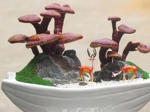 영지버섯 효능 부작용 먹는법