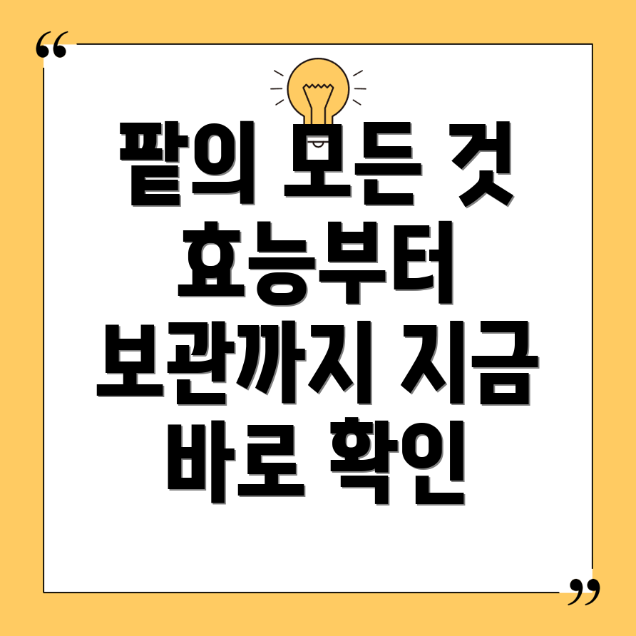 팥