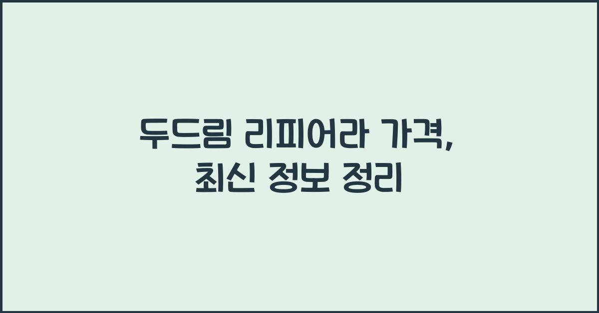 두드림 리피어라 가격