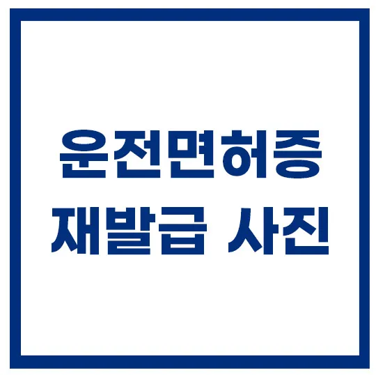 운전면허증-재발급-사진