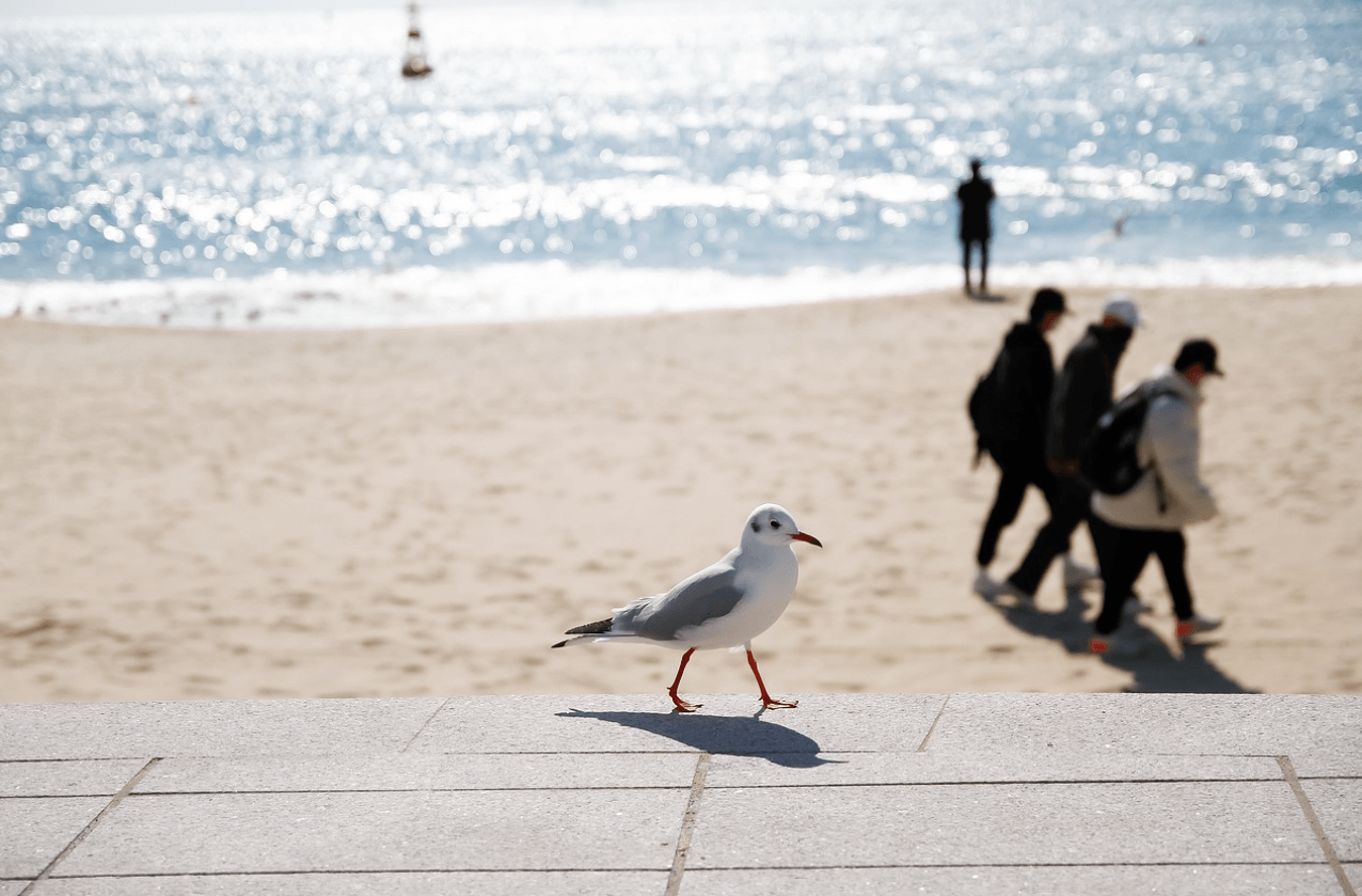 부산온나청년패스