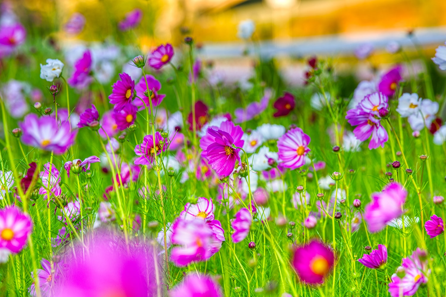 구리 한강공원- 20