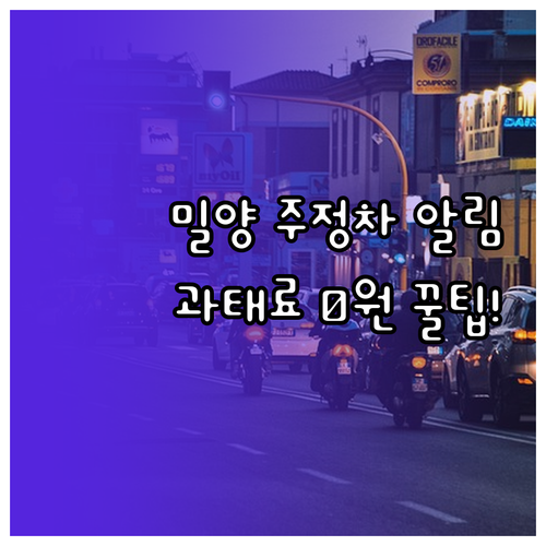 밀양시 주정차 단속 CCTV 문자 알..