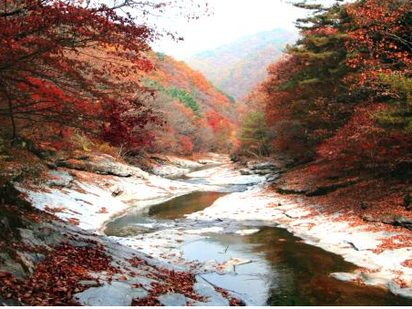 수타사