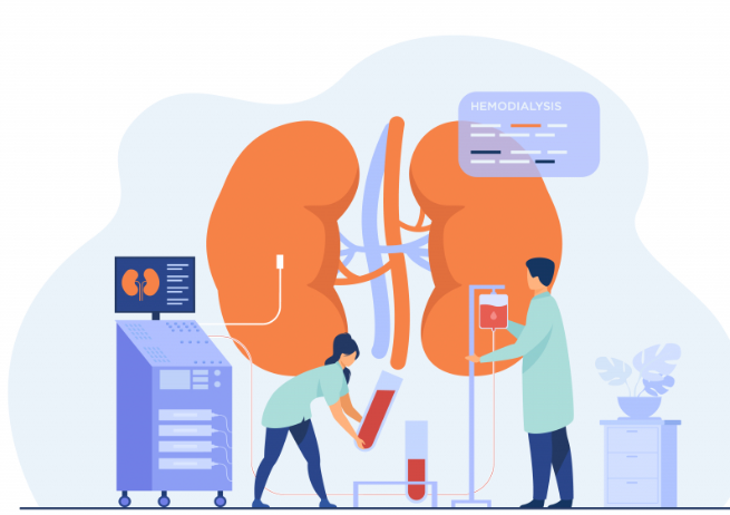 신장기능저하 이미지