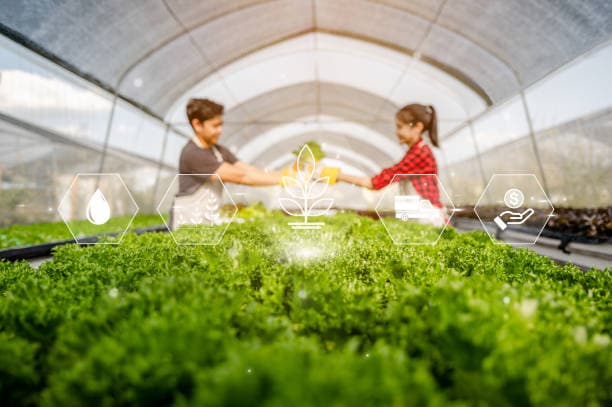 스마트 기술로 실현하는 지속 가능한 도시농업의 비전