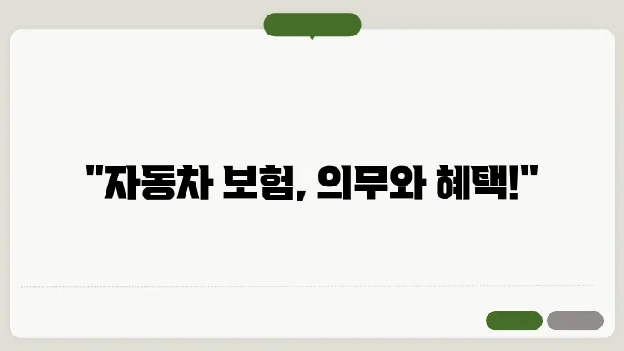 자동차 책임보험 가입기간
