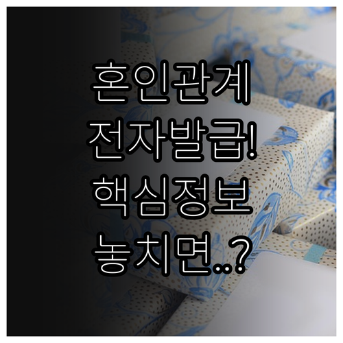 혼인관계증명서 전자가족관계등록시스템 ..