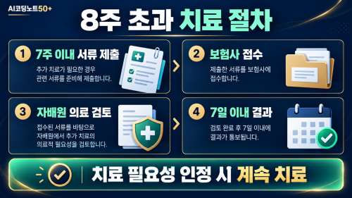 자동차보험 경상환자 8주 초과 치료 시 7주 이내 서류 제출과 자동차손해배상진흥원 검토 절차
