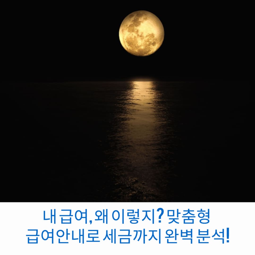 내-급여-왜-이렇지-맞춤형-급여안내로-세금까지-완벽-분석-썸네일