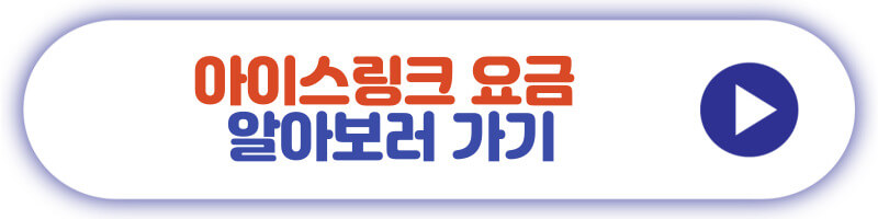 아이스링크 요금