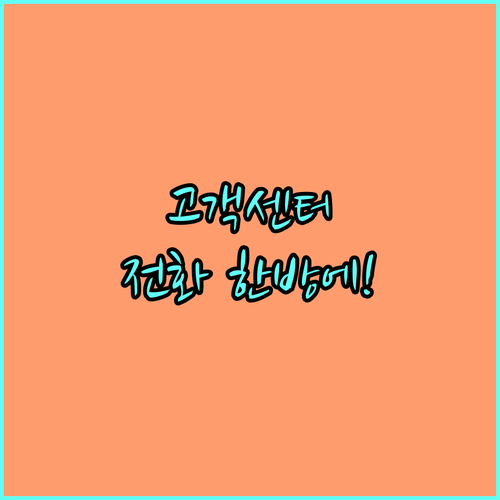 닌텐도코리아 고객지원 센터 전화번호 ..