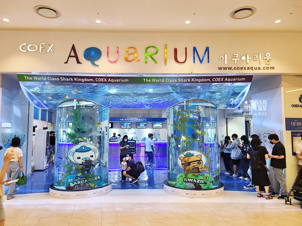 코엑스 아쿠아리움 입장권 할인예약 방법, 대중교통 가는 방법, 참물범 펭귄 비버 상어 보러가자!