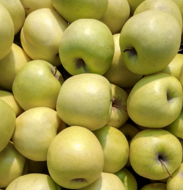 사과의 효능과 부작용 권장량