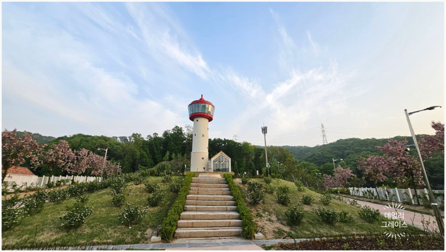 용인 자작나무숲 봄꽃축제 05