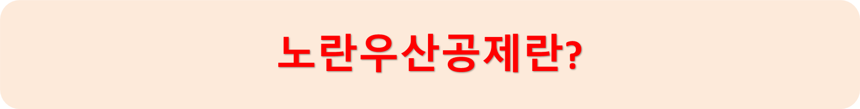 노란우산공제