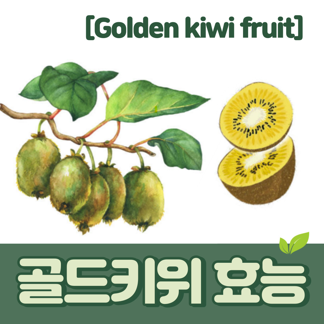 골드키위
