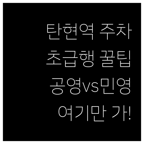 탄현역 인근 공영 민영 주차장 위치 ..