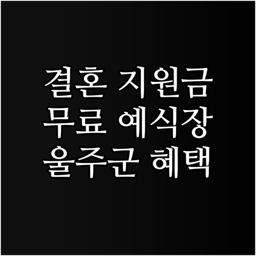 2025년 울주군 결혼 지원: 무료 ..