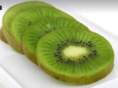 키위-사진