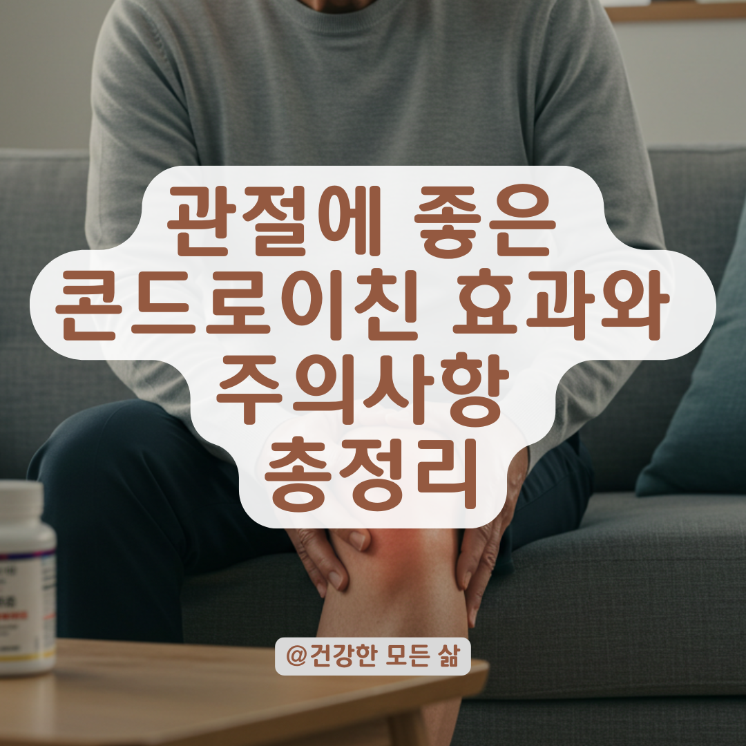콘드로이친, 관절에 정말 효과 있을까? 전문가들이 말하는 실효성과 주의사항.