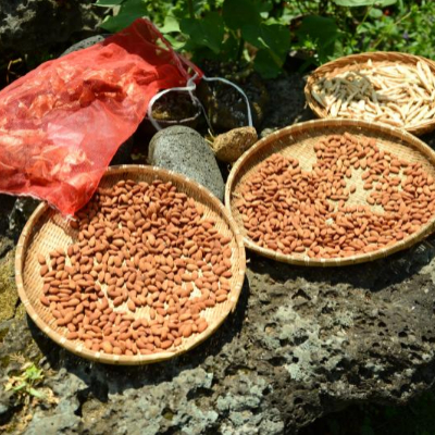 햇땅콩 피땅콩 삶는 법 보관 방법17