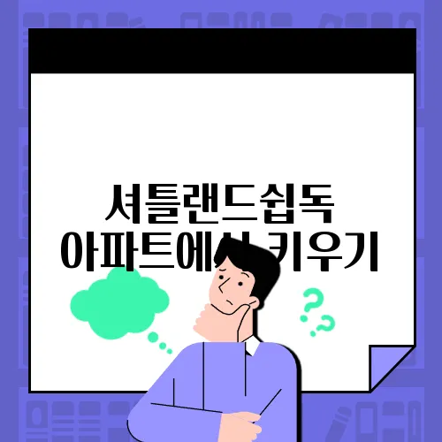 셔틀랜드쉽독 아파트에서 키우기