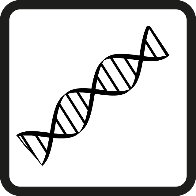 생체 시계와 유전자: 분자 시계가 건강을 프로그래밍한다