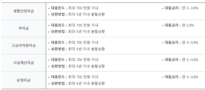 개인회생론 자금 목적과 한도 및 금리 상환방법을 나타낸 표