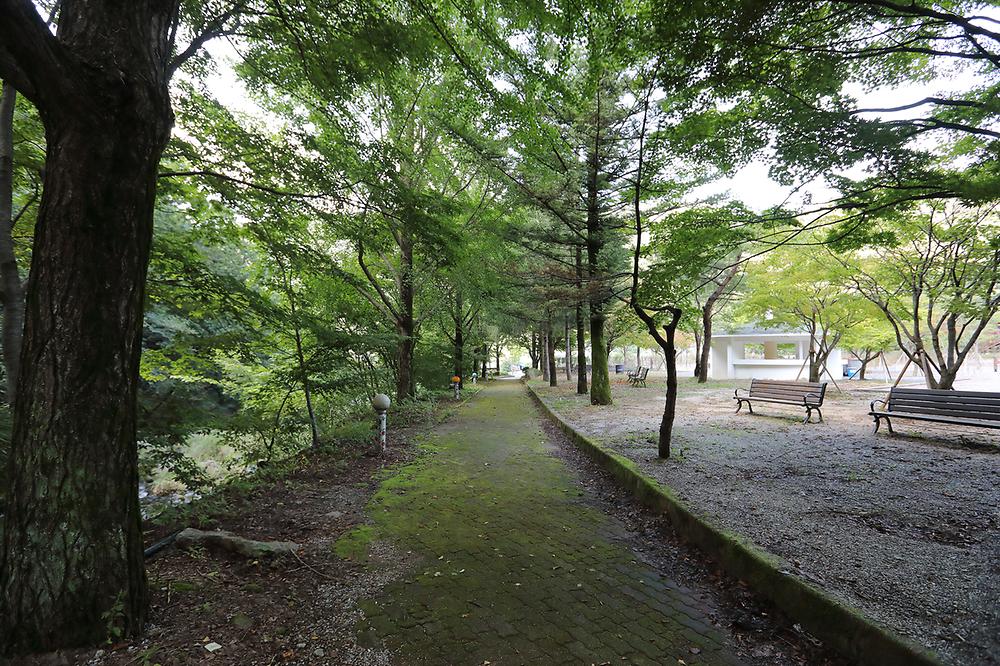 충청북도 단양군 천동오토캠핑장