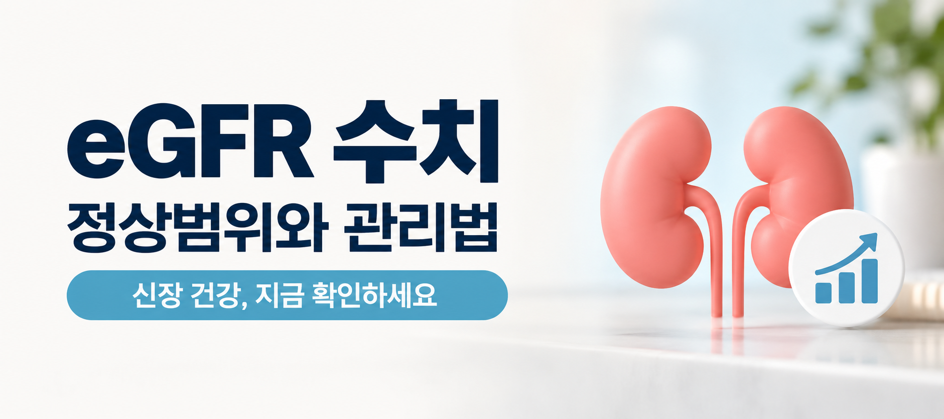 eGFR 정상범위와 신장 기능 관리 대표이미지