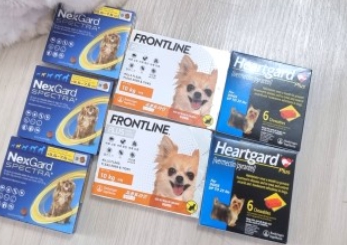 강아지 고양이 심장사상충 약, 넥스가드 스펙트라 직구, 넥스가드 스펙트라 단점, 넥스가드 스펙트라 약국 가격, 넥스가드 스펙트라 파는 곳 넥스가드 스펙트라 펫버킷