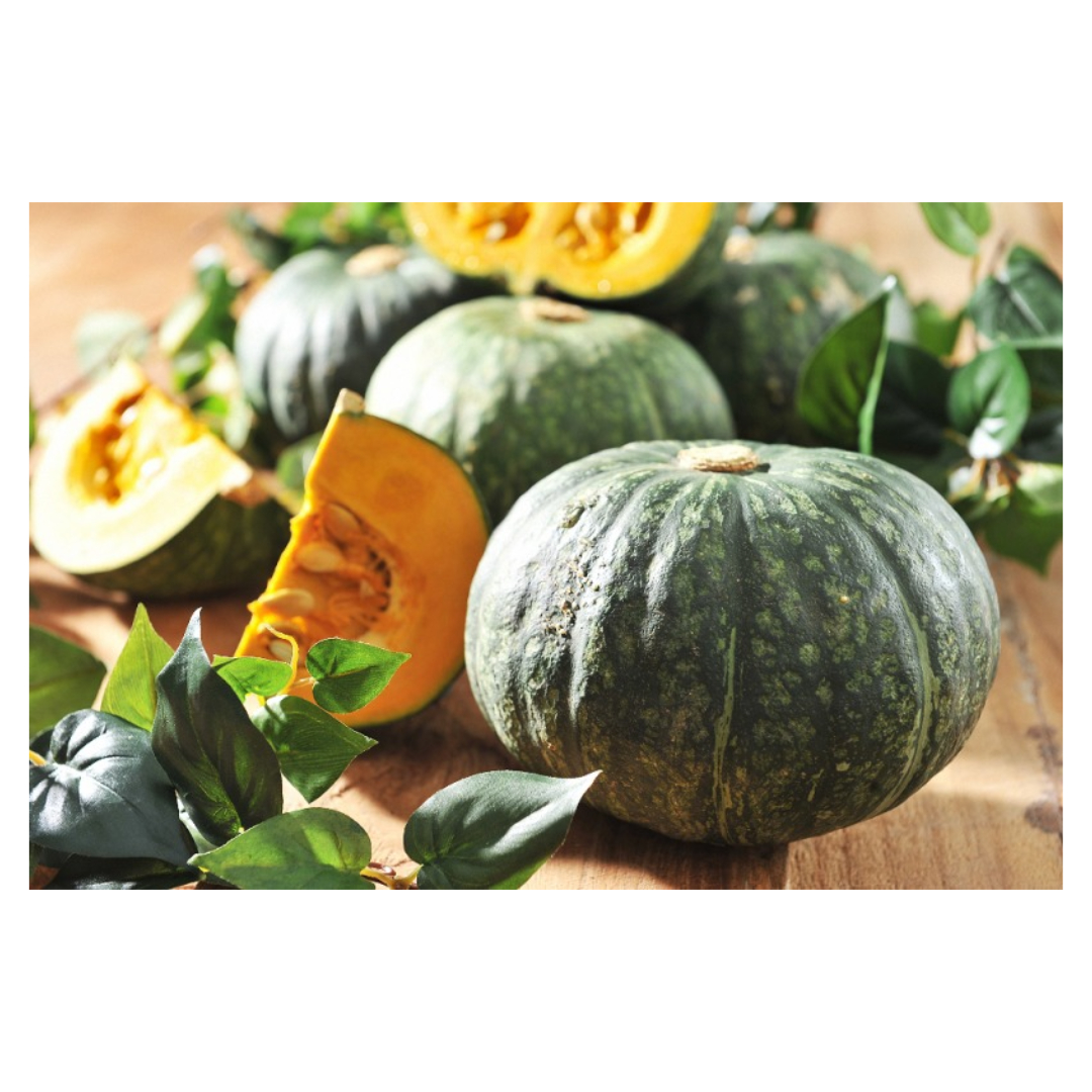 담낭제거수술과 관련된 사진입니다.