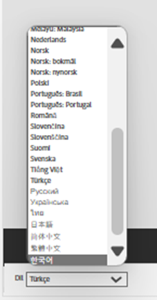 어도비스톡-세금신고서-작성법