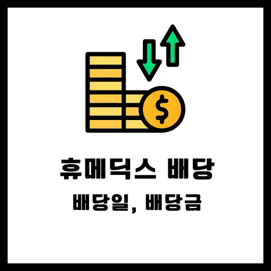 회사 개요