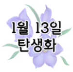 이 이미지를 클릭 하시면 1월 13일 탄생화에 관한 포스팅으로 이동됩니다.