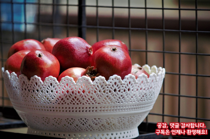 탈모예방 갱년기 증상 완화