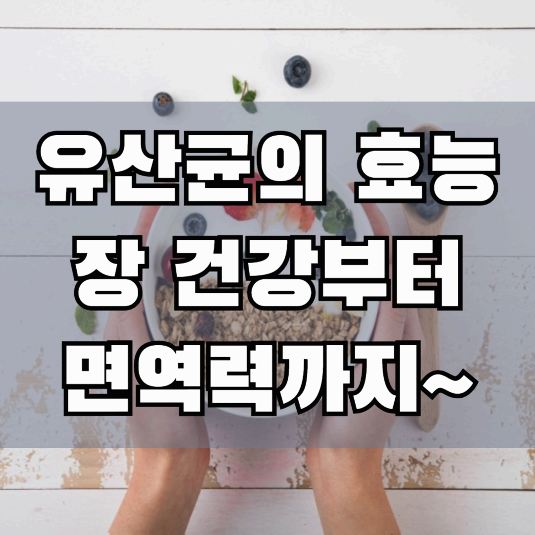 유산균의 놀라운 효능