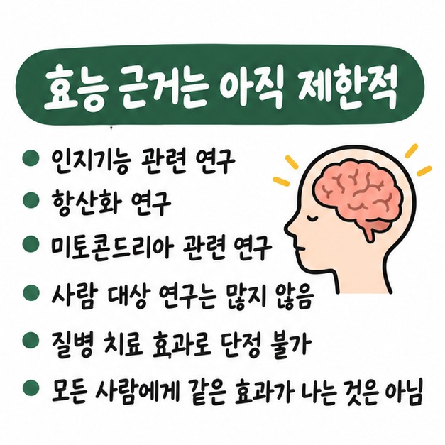 PQQ는 인지기능과 항산화·미토콘드리아 관련 연구가 있지만 사람 대상 근거는 아직 제한적이라는 내용을 정리한 카드