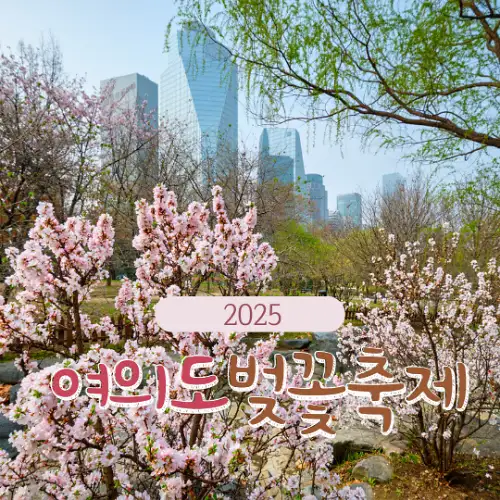 2025 여의도 벚꽃축제