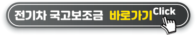 전기차 국고보조금