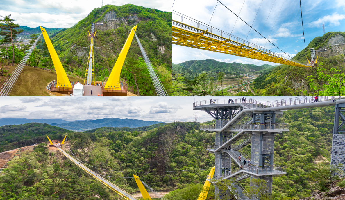 강원도 단풍 명소 3. 원주 소금산 출렁다리와 뮤지엄 산