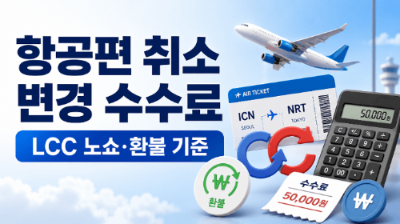 항공기-결항-지연-대처방법-환불-보상-여행자보험-청구
