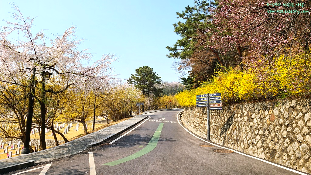 국립현충원-드라이브코스